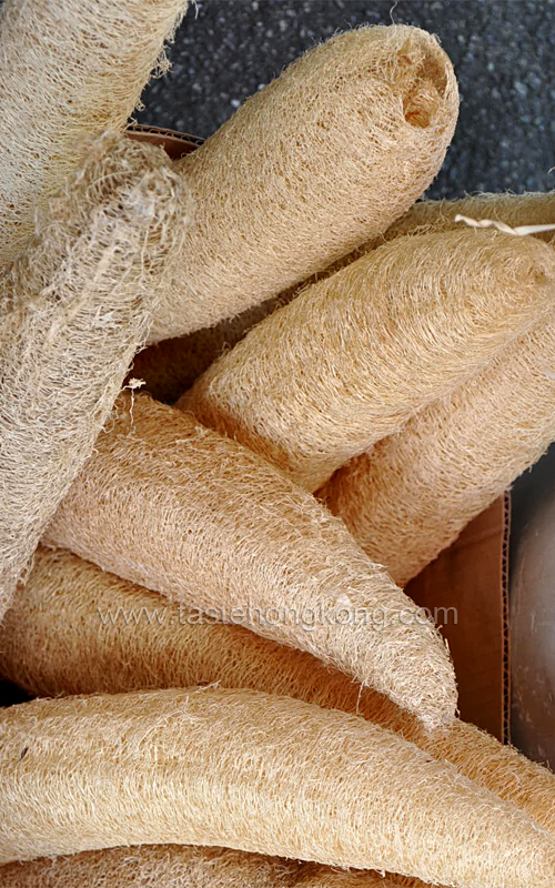 Sponge Made from Aged Angled Gourds, Melaka (Melacca)