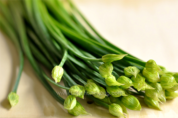 Chinese Garlic Chive